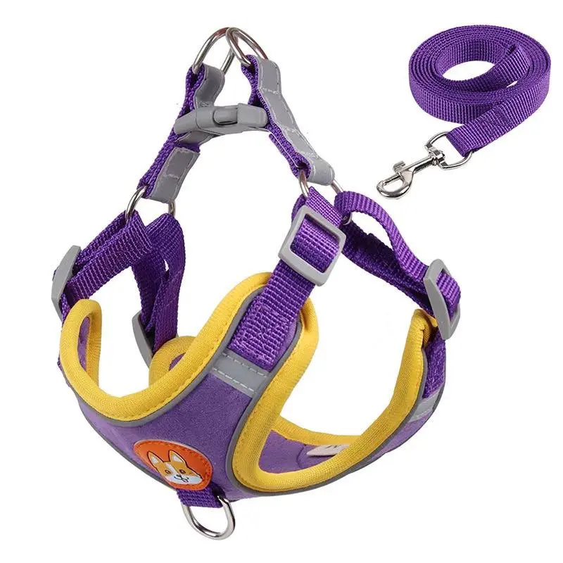 - Dog Leash Set XL (10-14kg) ឈុតវ៉ាត់ខ្លួន